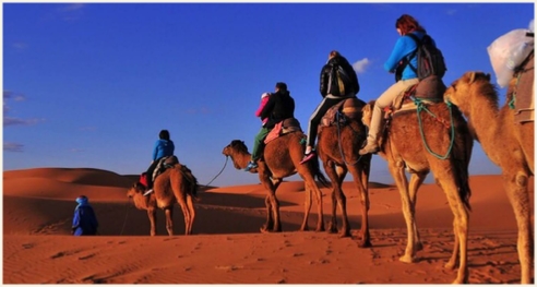 Riad Ozuine , Merzouga rooms, Merzouga restaurant , Merzouga camel ride